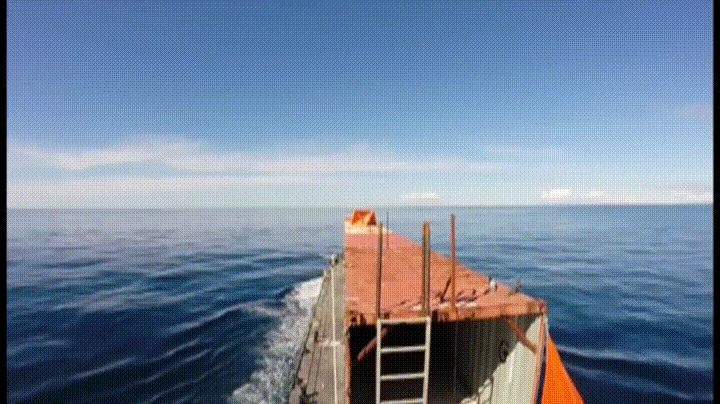 ZUxVGmT.gif