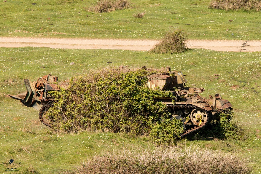 tanks-taken-over-by-nature-64__880.jpg