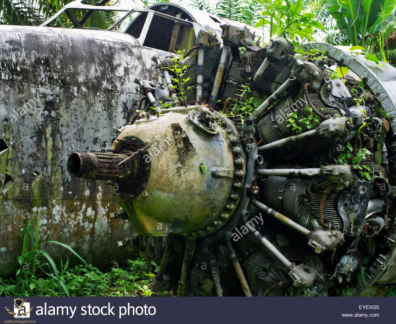 ww11-aircraft-wreck-near-kimbe-west-new-britain-papua-new-guinea-EYEXG5.jpg