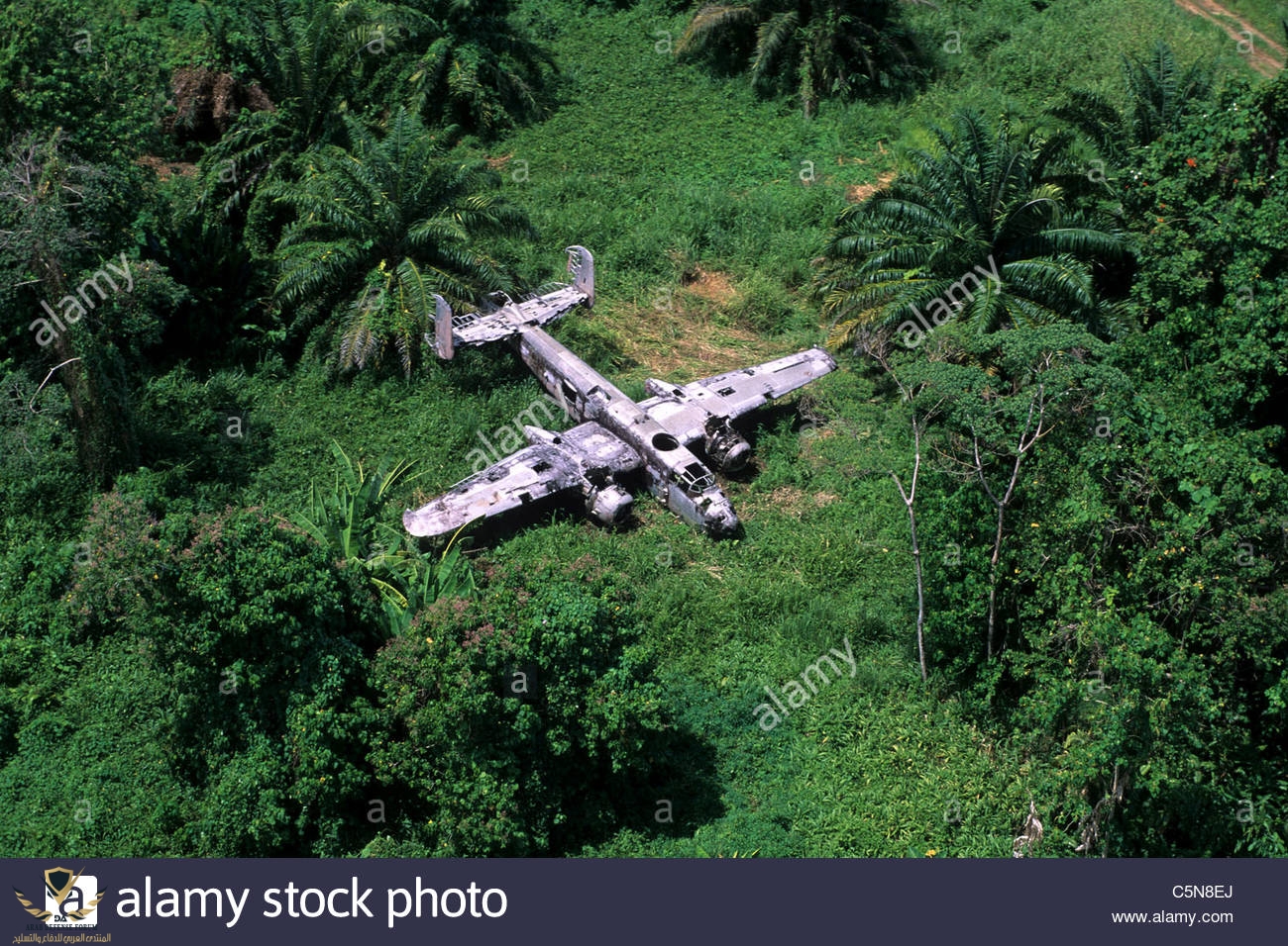 plane-wreck-near-talasea-west-new-britain-papua-new-guinea-C5N8EJ.jpg