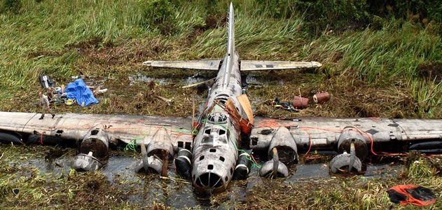 swamp631.jpg