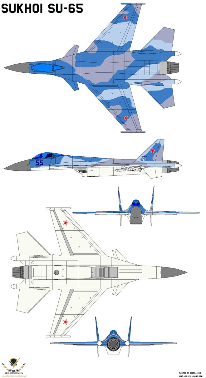 sukhoi_su_65_by_bagera3005_d1q0wey-pre.jpg