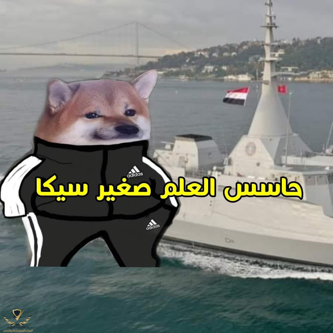 1605649760246.png