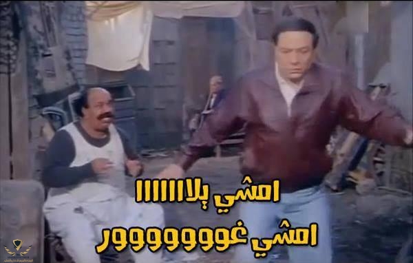 1606075586574.jpeg