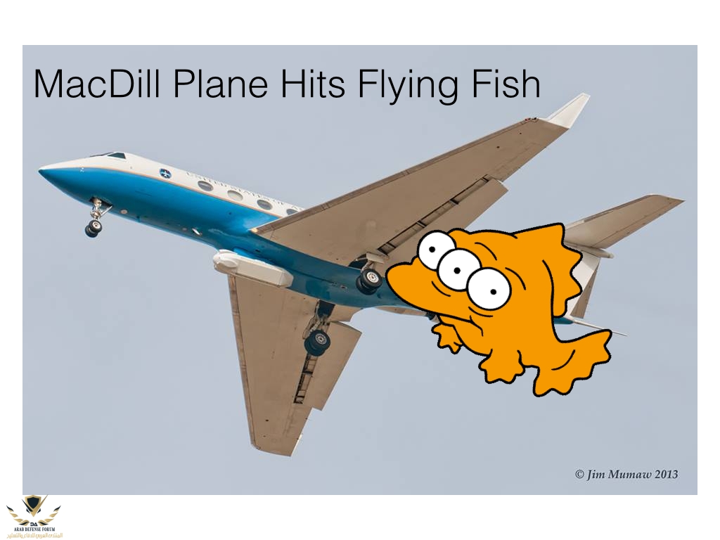 macdillfish.jpg