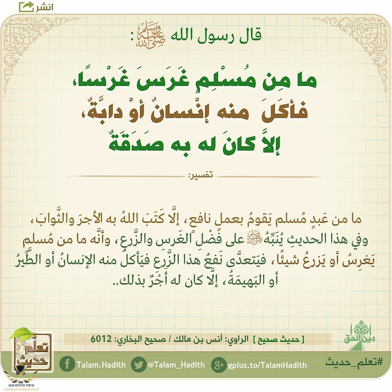 1607243356205.png