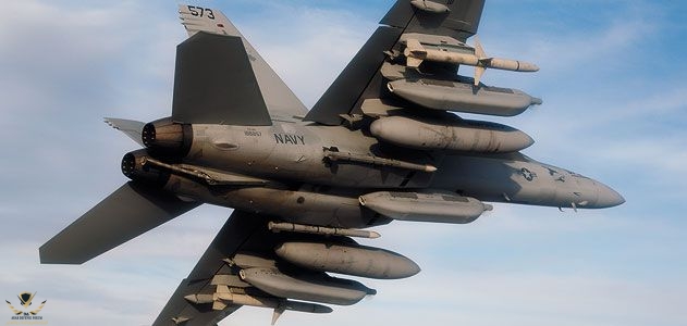 FM-2011-when-hornets-growl-1-FLASH.jpg