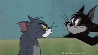HarmoniousMinorDwarfmongoose-max-1mb.gif