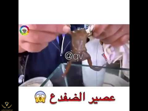1607985066053.png