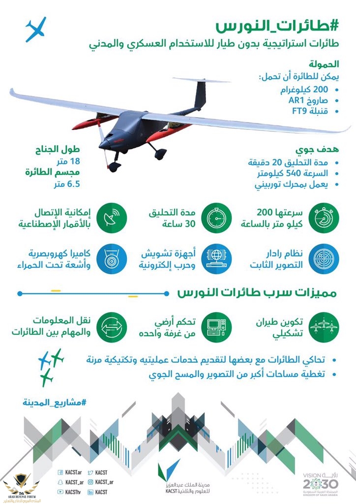 النورس-1.jpg