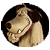 1428569315441.gif
