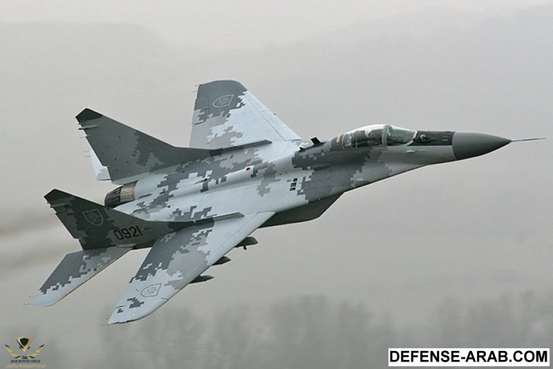 AIR_MiG-29_Slovakian_Digital_Thunder_Camo_lg.jpg