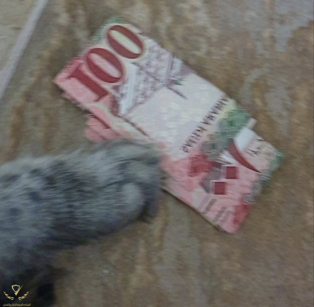 EUhhNXFX0A4SpYi.jpg