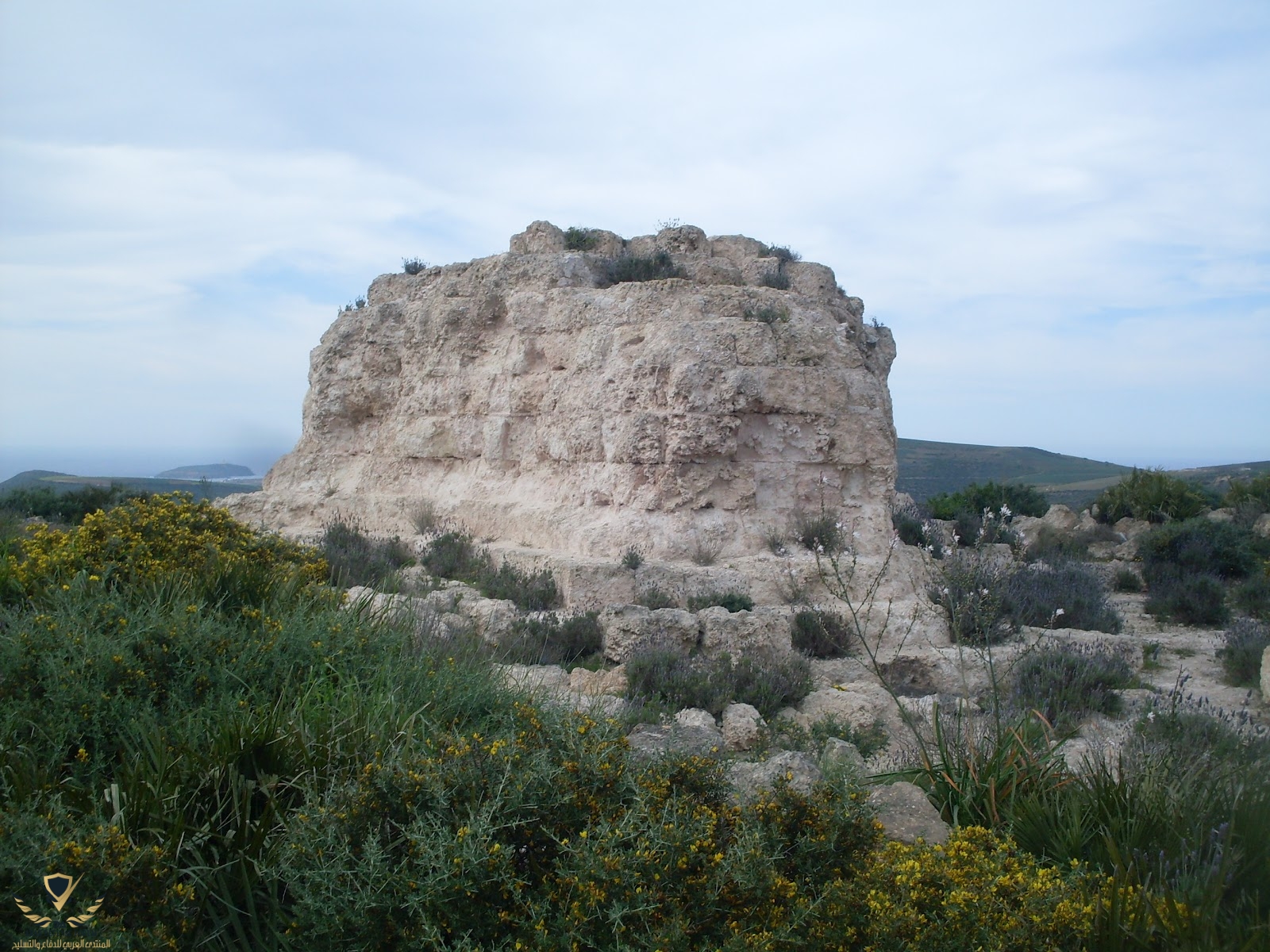 tombeau-syphax.jpg