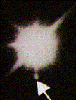 stars6.gif