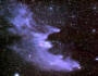 IC2118s.jpg