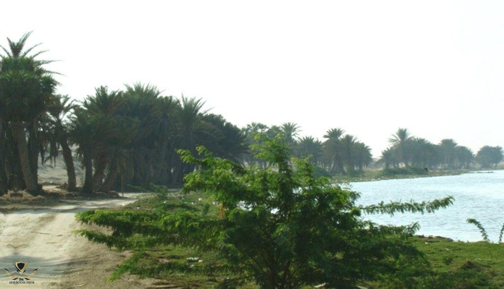 CC0F5B0A-5513-4B25-AB03-DE2F11179F64.jpeg