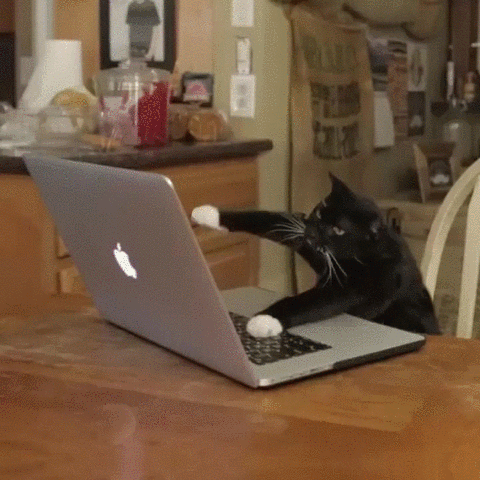 source.gif