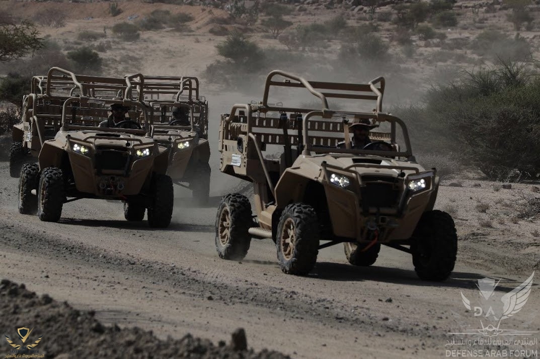 Polaris MRZR4.jpg