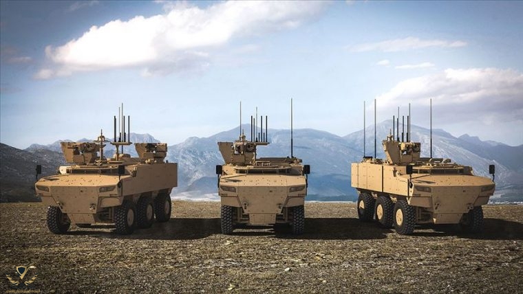 pars_6x6_01.jpg
