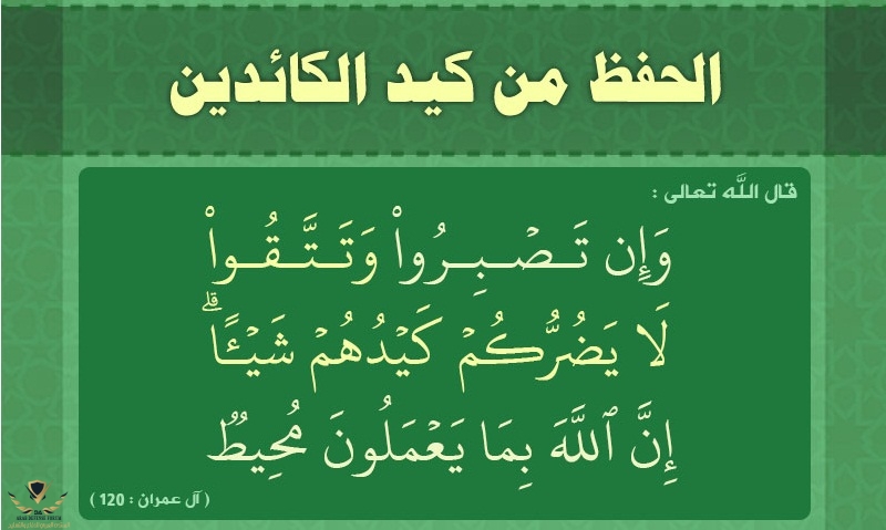 c-thmrattqwa015.jpg