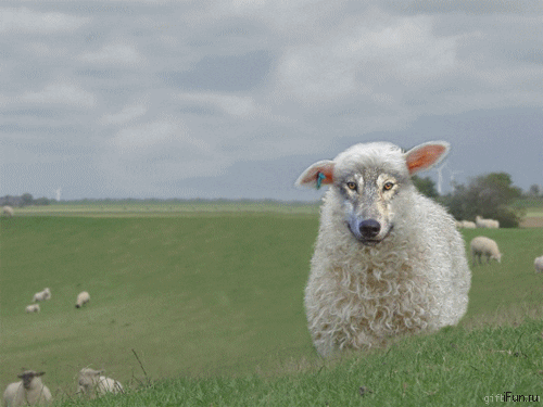 giphy-30.gif
