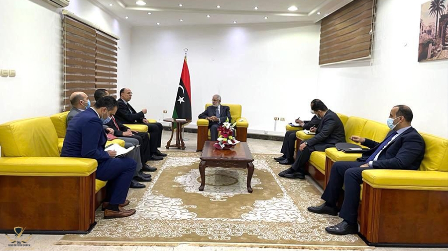 وفد-مصري.jpg