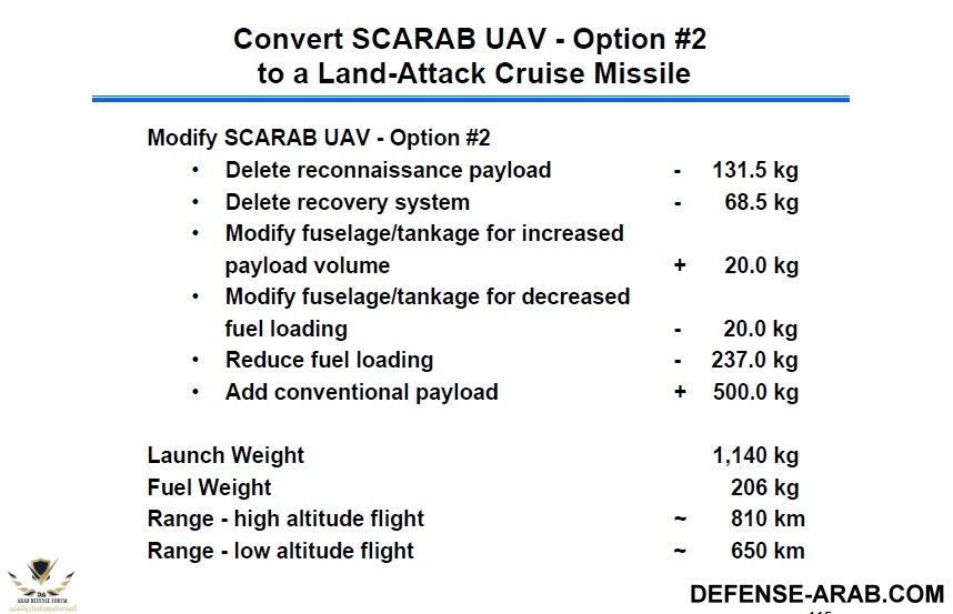 SCARAB 5.jpg