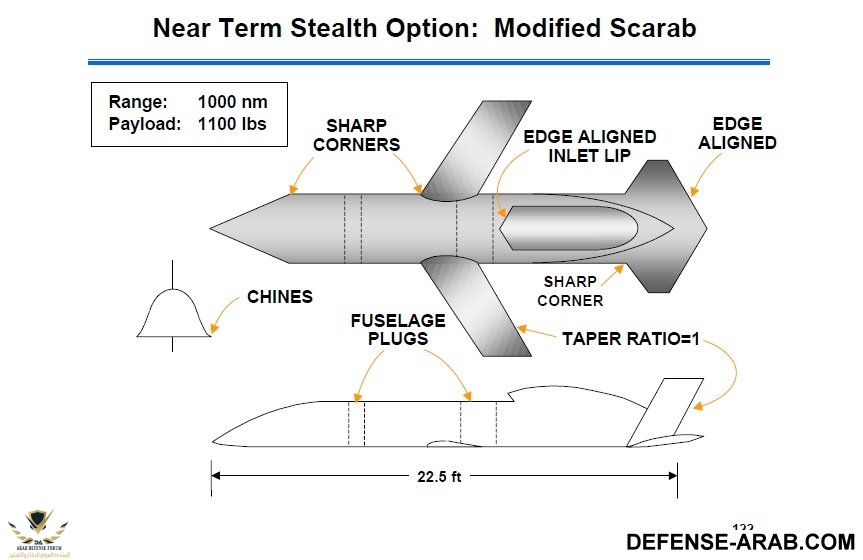 SCARAB 8.jpg