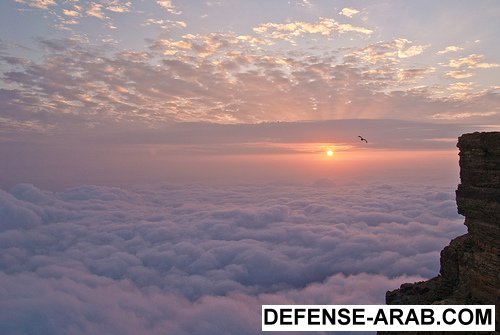 3021481347_64f156ab23.jpg