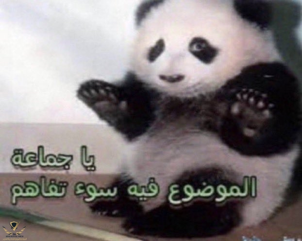 ٢٠٢١٠٢١٠_١٠٠٤١٥.jpg