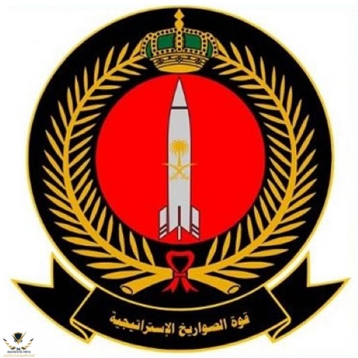 892608.jpg