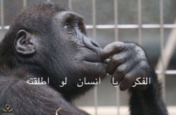 ٢٠٢١٠٢٠٦_٠٨٥٣٤٠.jpg