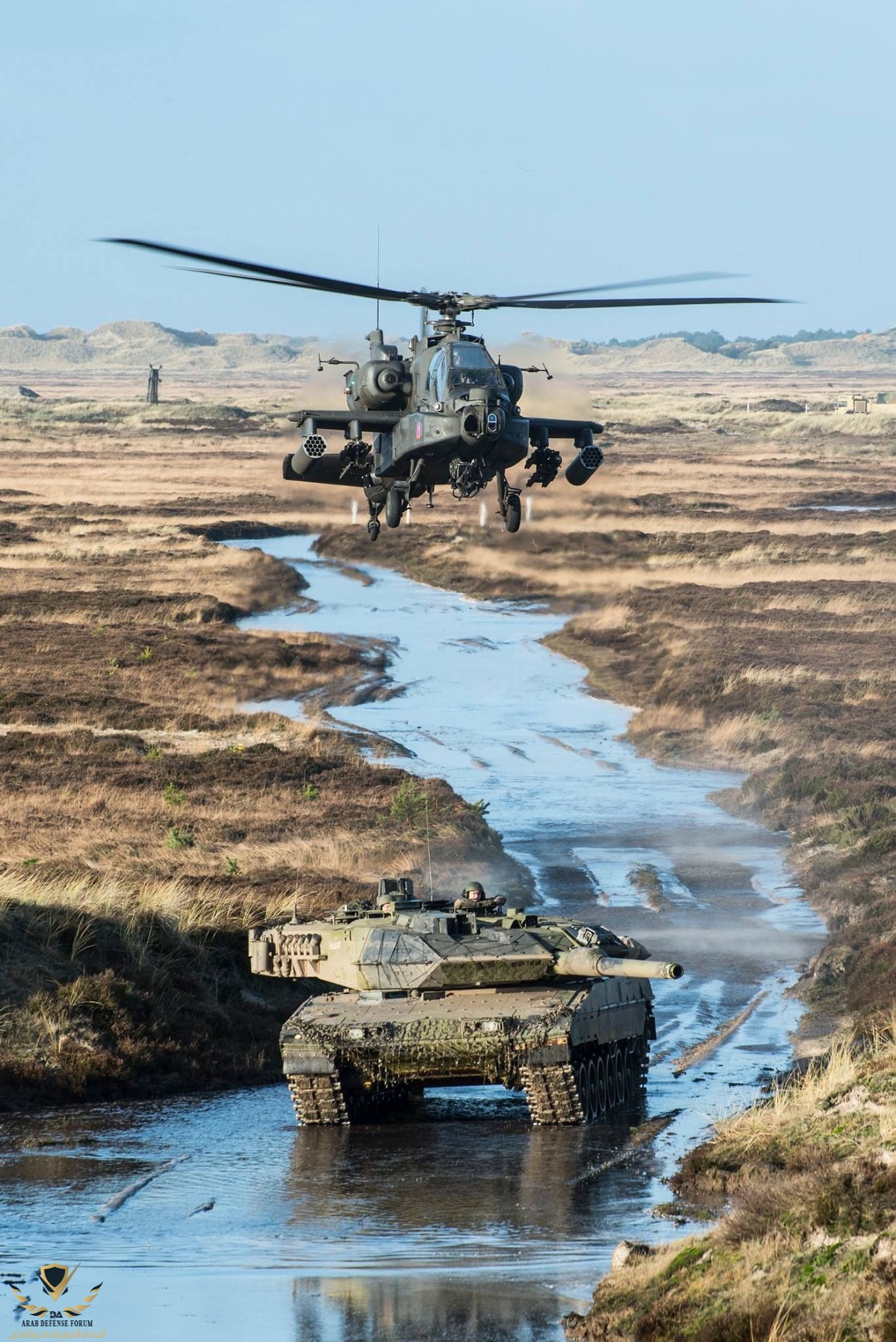 US Apaches and Danish Leopards.jpeg