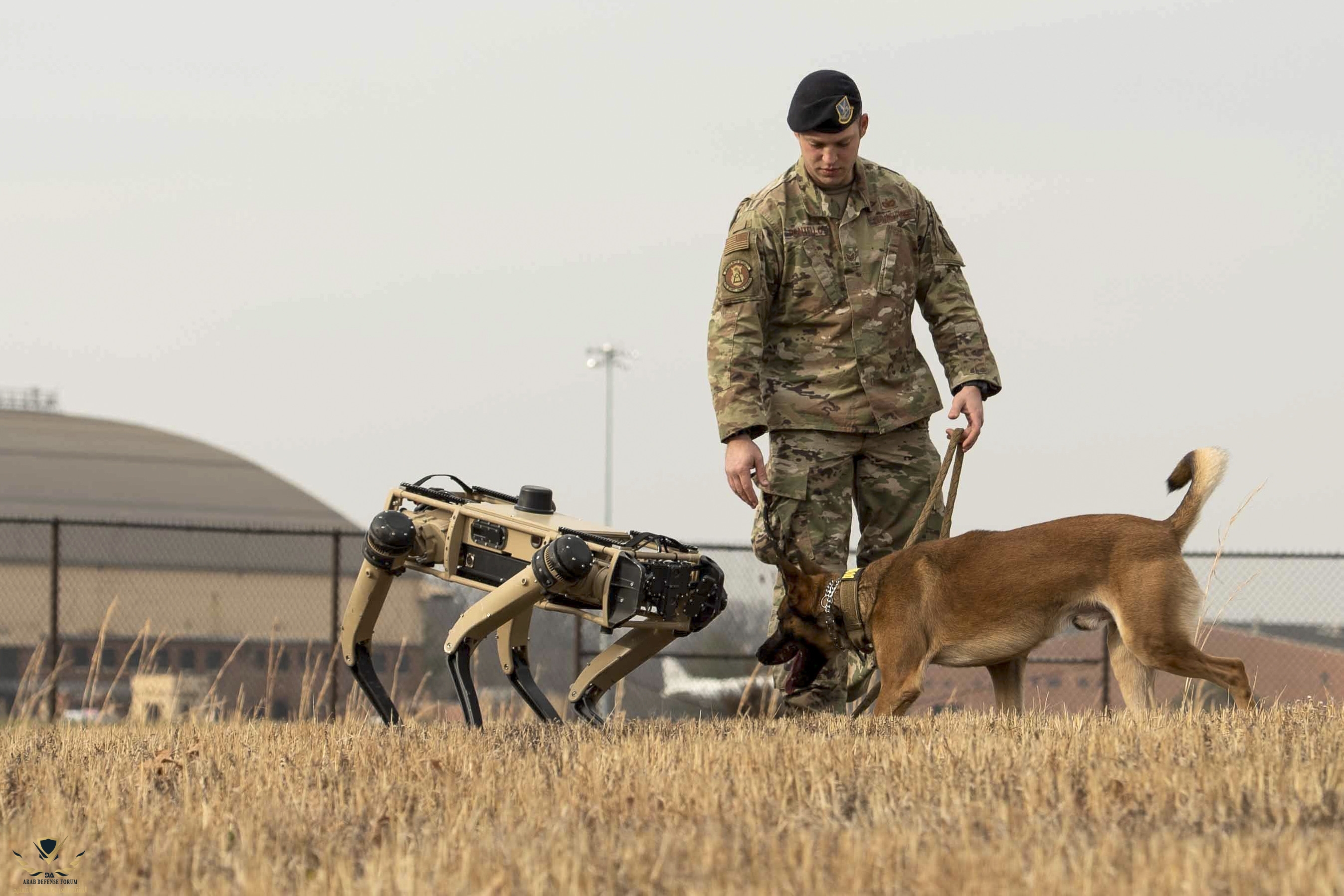 Air Force Staff Sgt Carmen Pontello introduces Hammer a military working dog to a Ghost Roboti...jpg