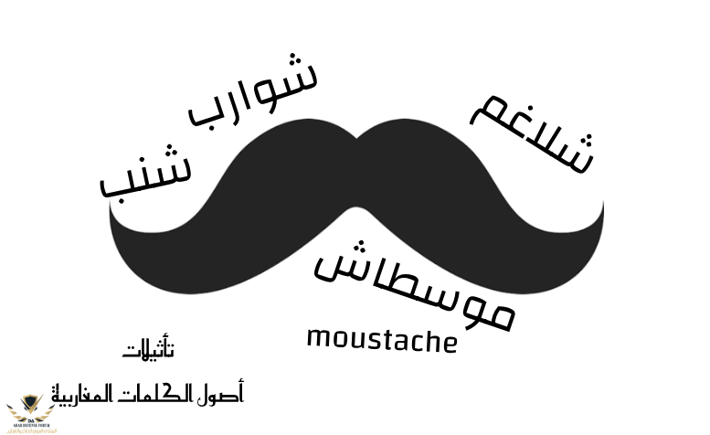 Arabic_Etymology_Moustache.png