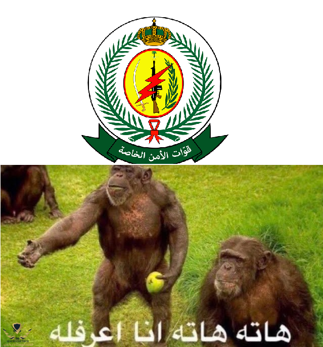 1200px-Special_Security_Forces_(Saudi_Arabia).svg.png