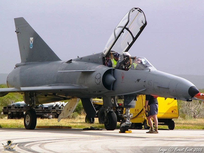 cheetah_d2_845_tfdc_2005_by_michelum-da2tm5g.jpg
