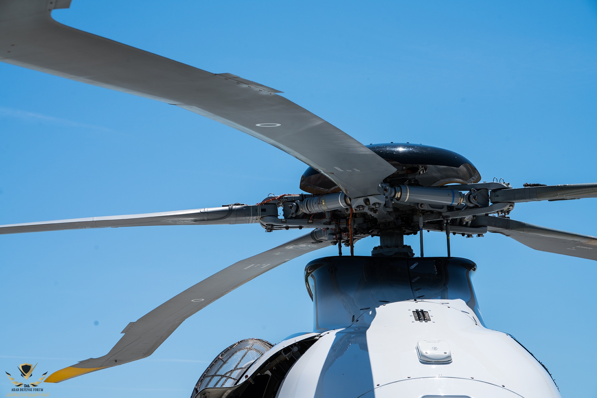 message-editor_1527713718180-choppa-6.jpg