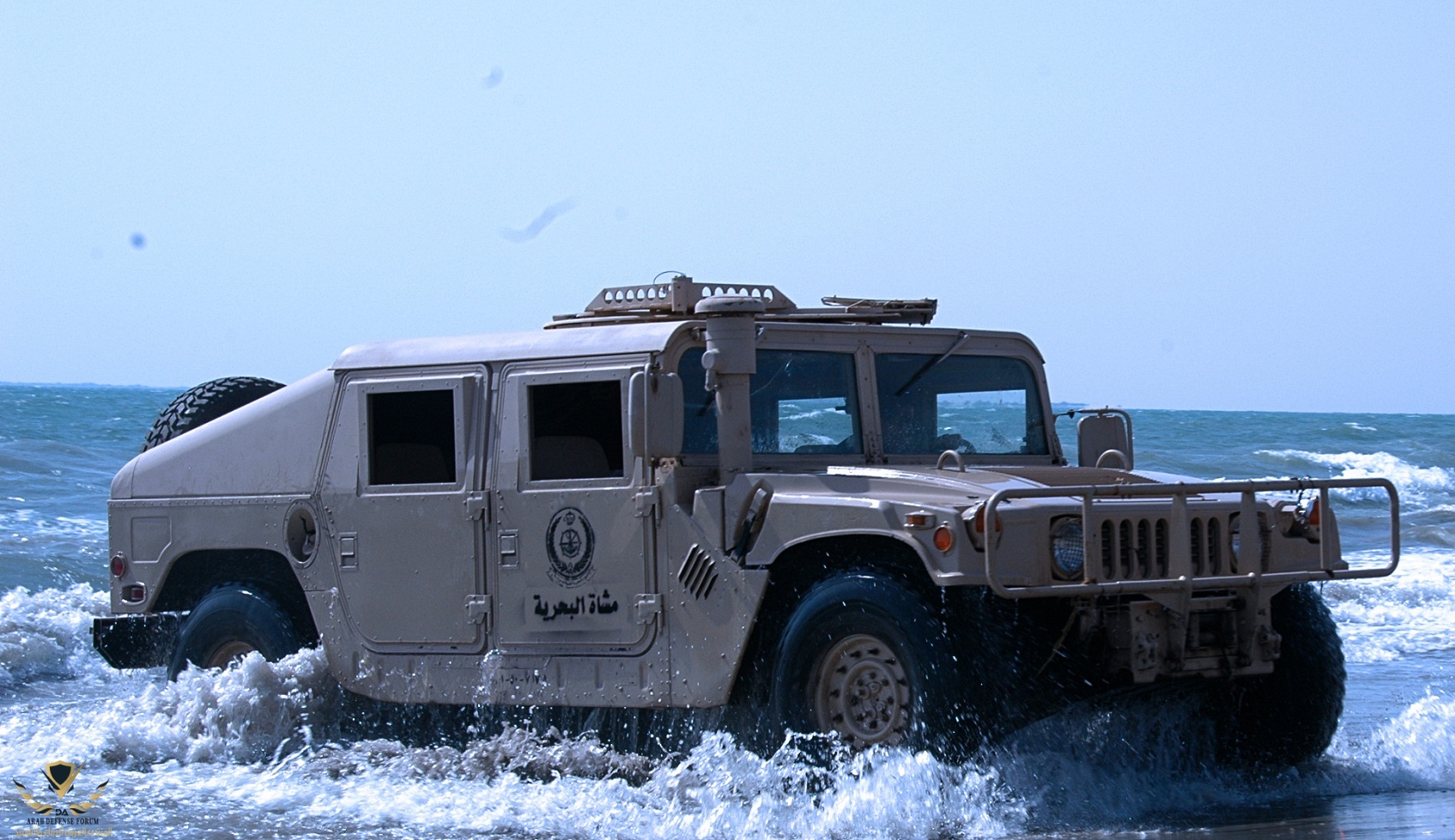 RSNF 44.jpg