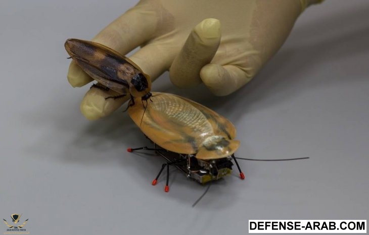 russian-cockroach-robot-military-interested.jpg