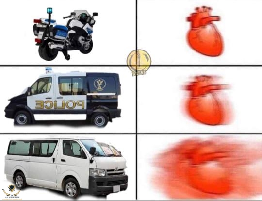 79401.jpg