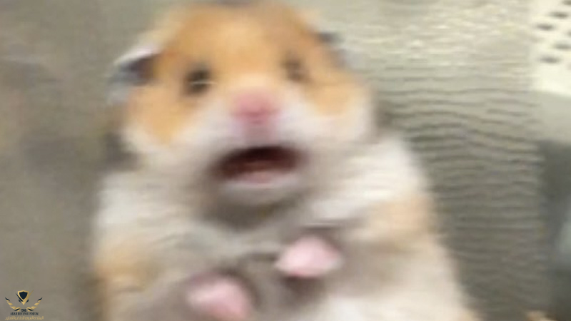 1617911971658.png