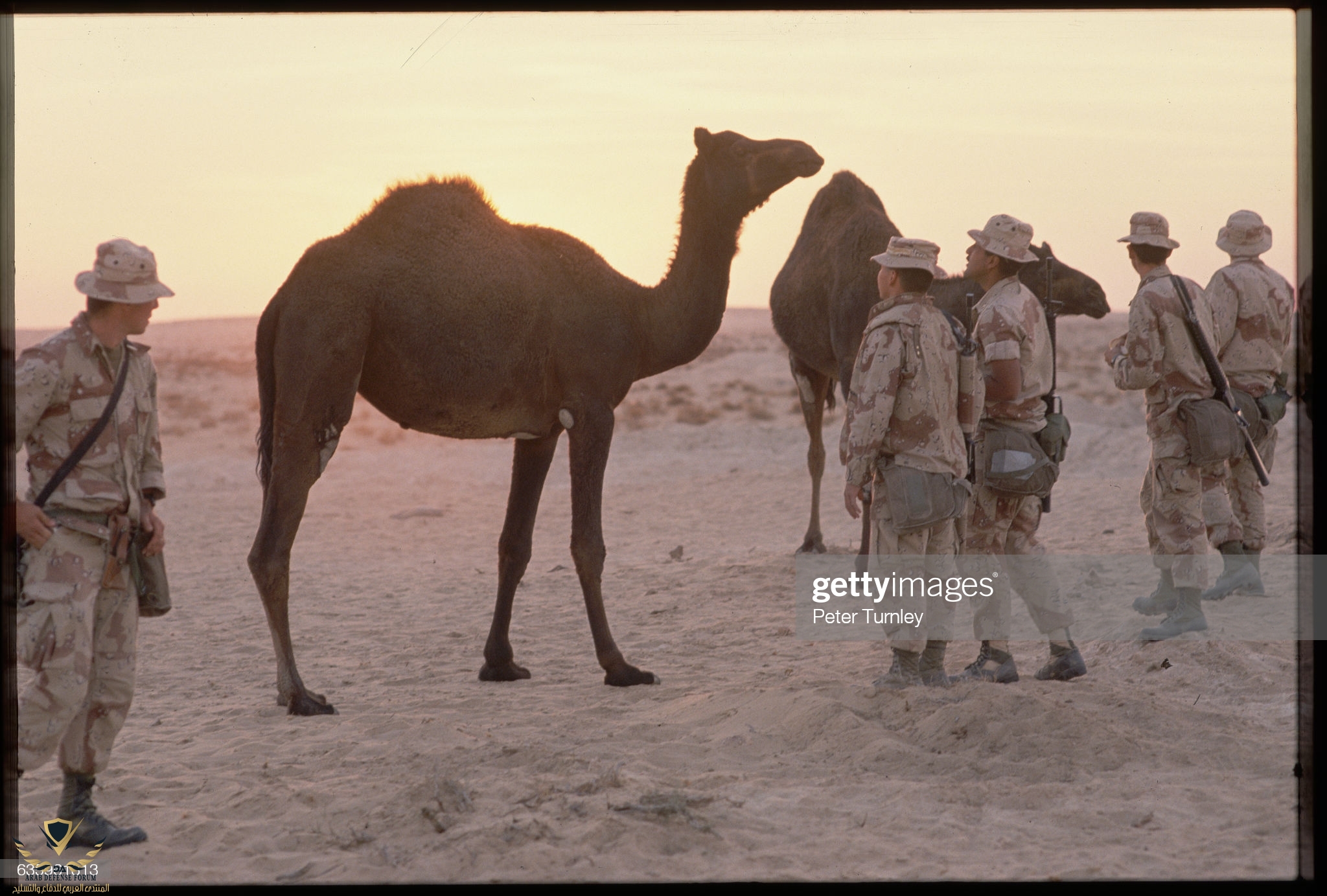 gettyimages-635961313-2048x2048.jpg