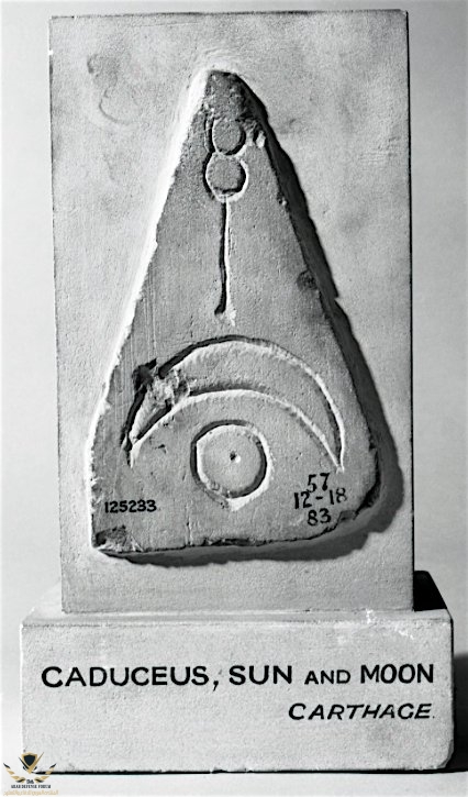 CjO_dL1UgAAFN_m.jpg