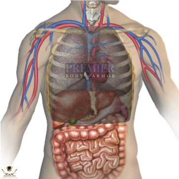 ArmorAnatomy.png