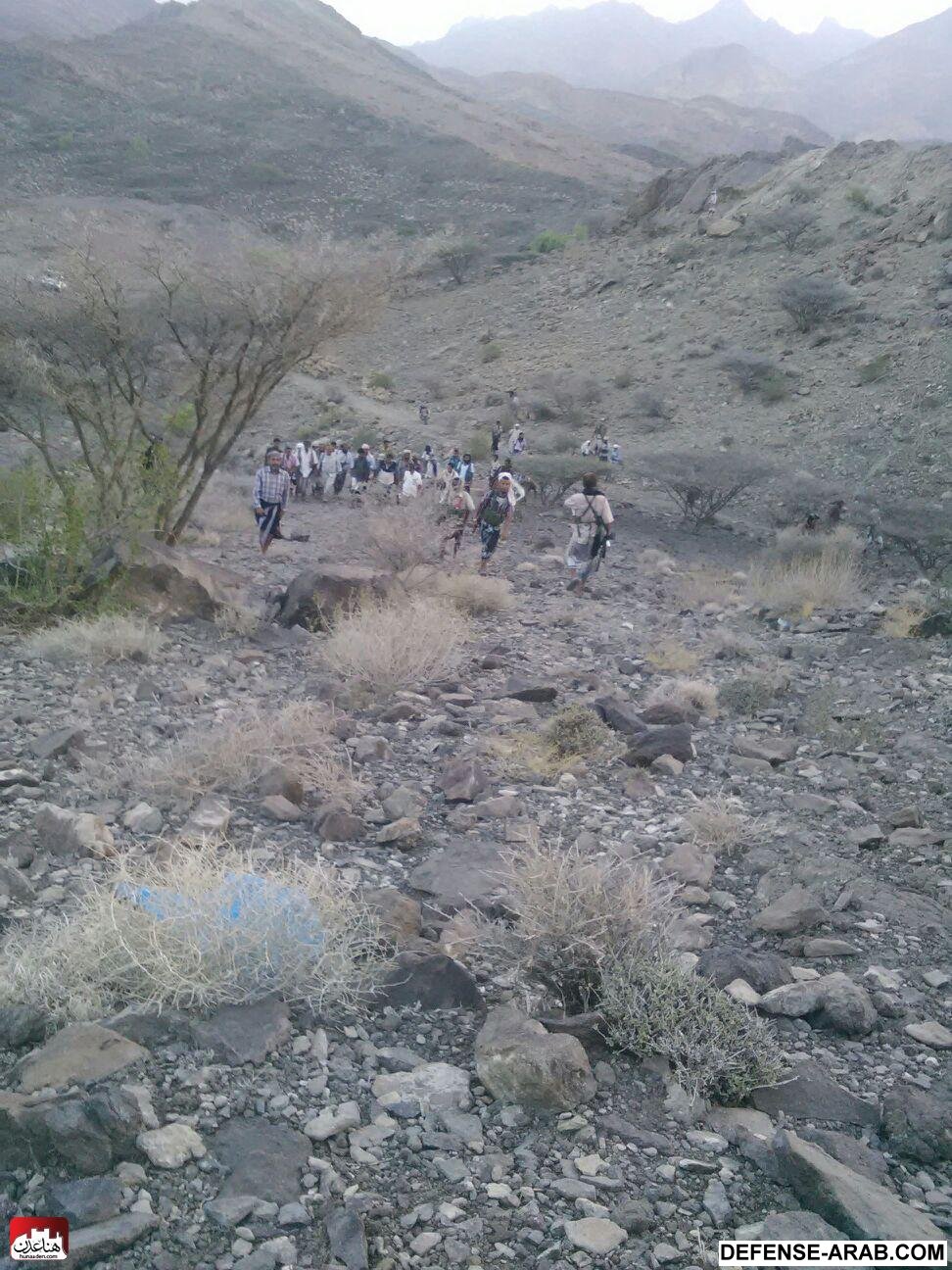 استنفار في كرش٧.jpg