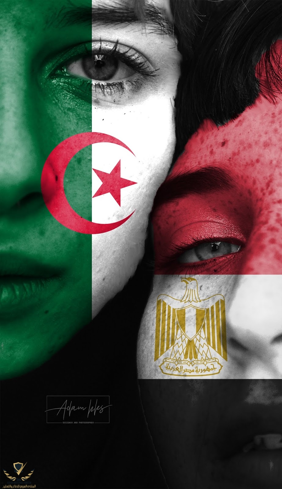 Egypt and Algeria.jpg