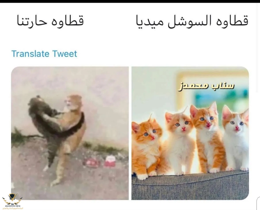 ٢٠٢١٠٥٠٥_١٢١٣٤٥.jpg