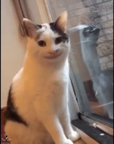 1620335046281.png